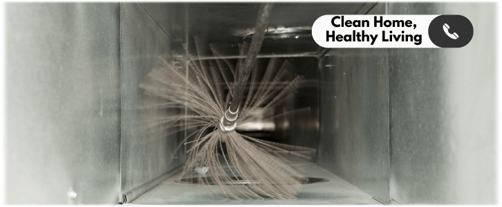 Air Duct Mold Removal in Lynnwood WA