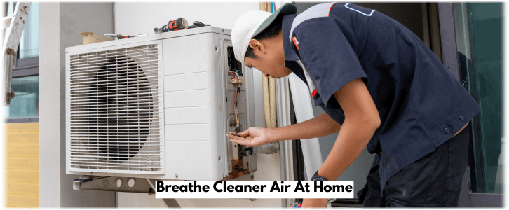 HVAC Mold Removal Lynnwood WA